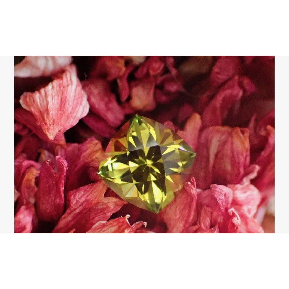 YELLOW/GREEN TOURMALINE RING - Danielle Morgan