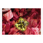 YELLOW/GREEN TOURMALINE RING - Danielle Morgan 